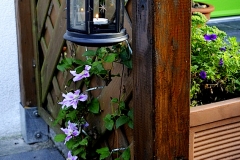 FEWO_Terrasse_3r